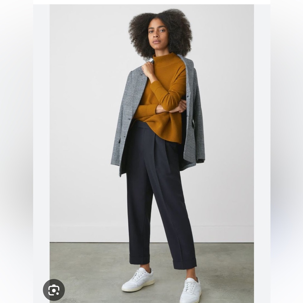 Everlane put-together pleated pants (sold out)